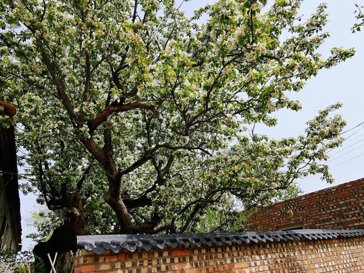 Air Cloud Guesthouse Huailai Exterior photo